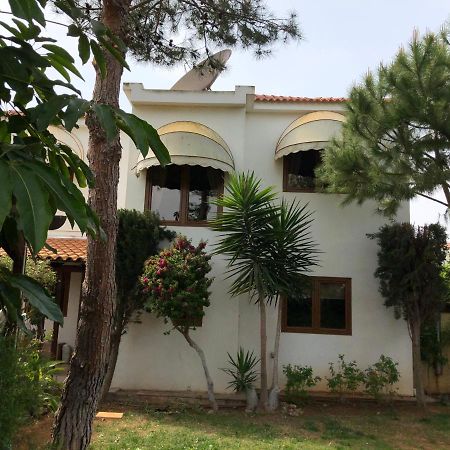 Villa Natalia Ayía Nápa Extérieur photo
