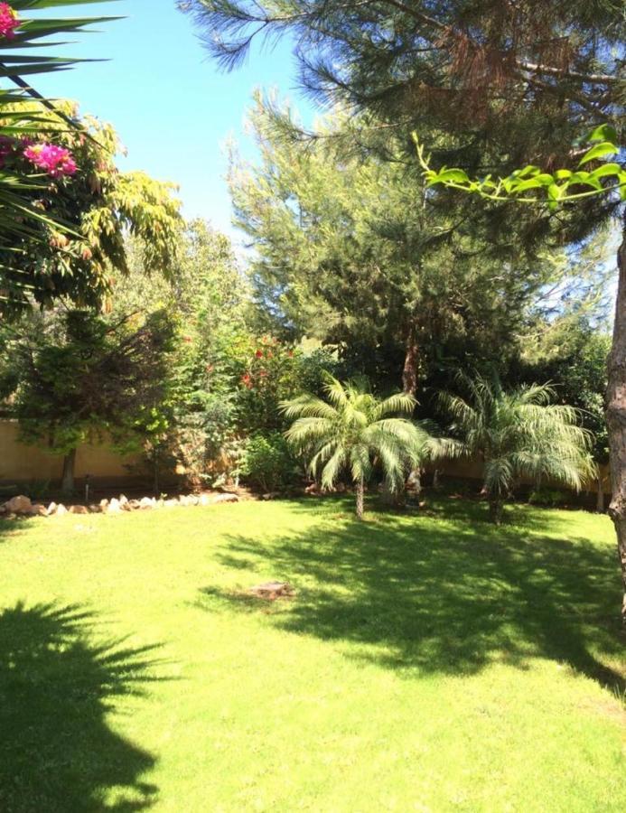 Villa Natalia Ayía Nápa Extérieur photo