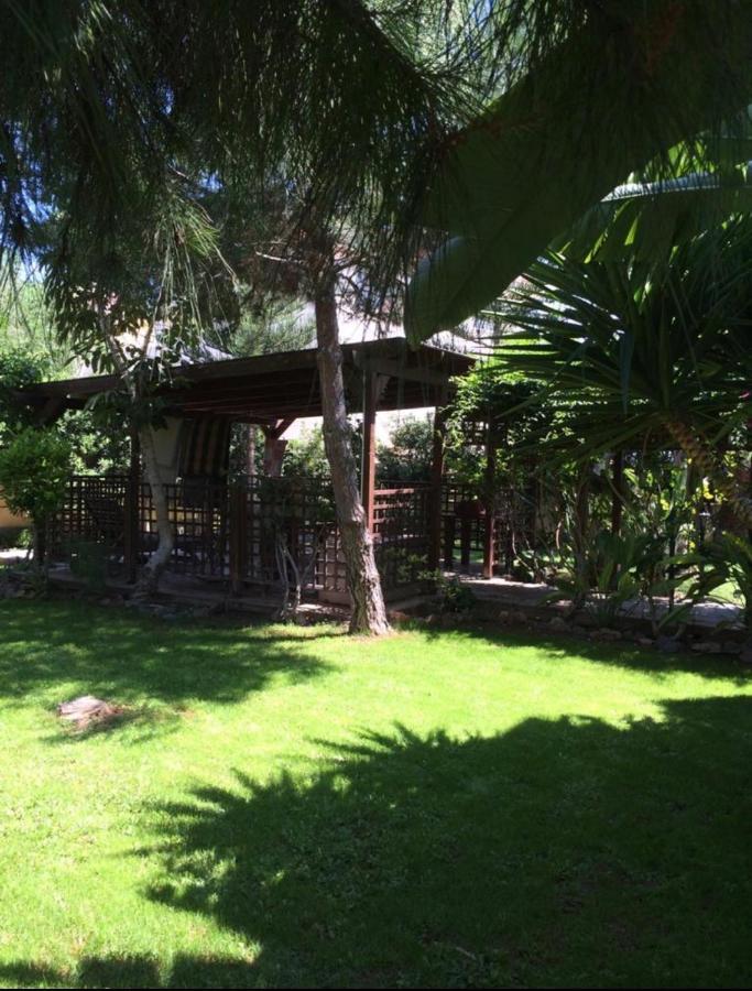 Villa Natalia Ayía Nápa Extérieur photo