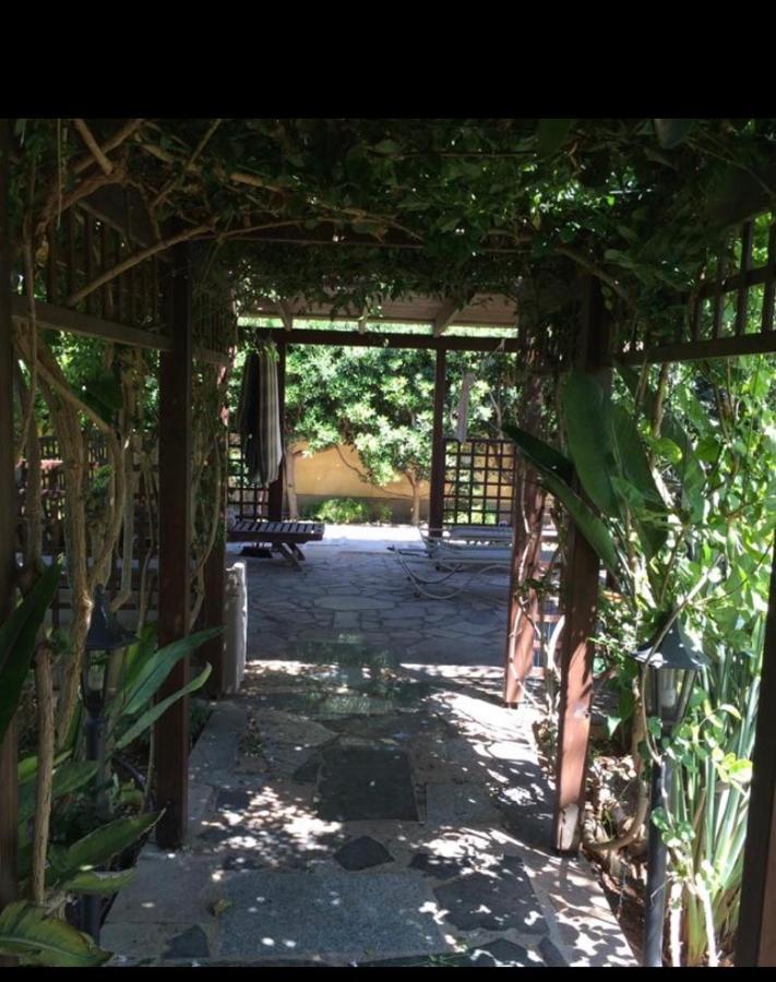 Villa Natalia Ayía Nápa Extérieur photo