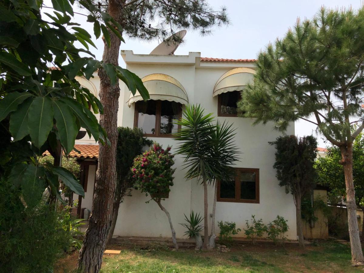 Villa Natalia Ayía Nápa Extérieur photo